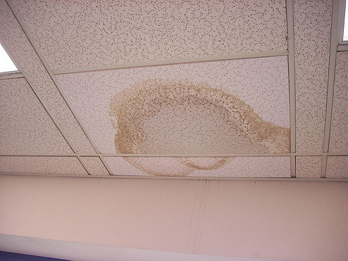 Daklekkage Plat Dak Lekkage Spoed Berghem