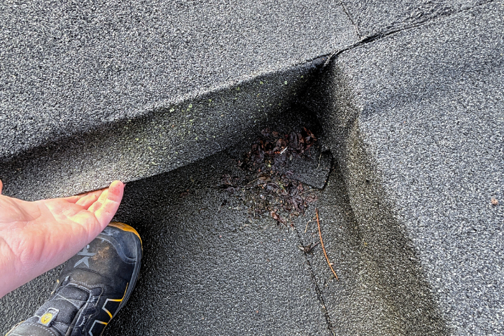 Daklekkage Plat Dak Lekkage Oss